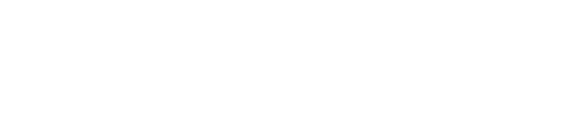 nostargoogle 2